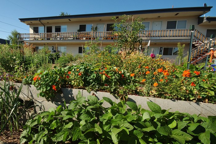Kailash ecovillage USA
